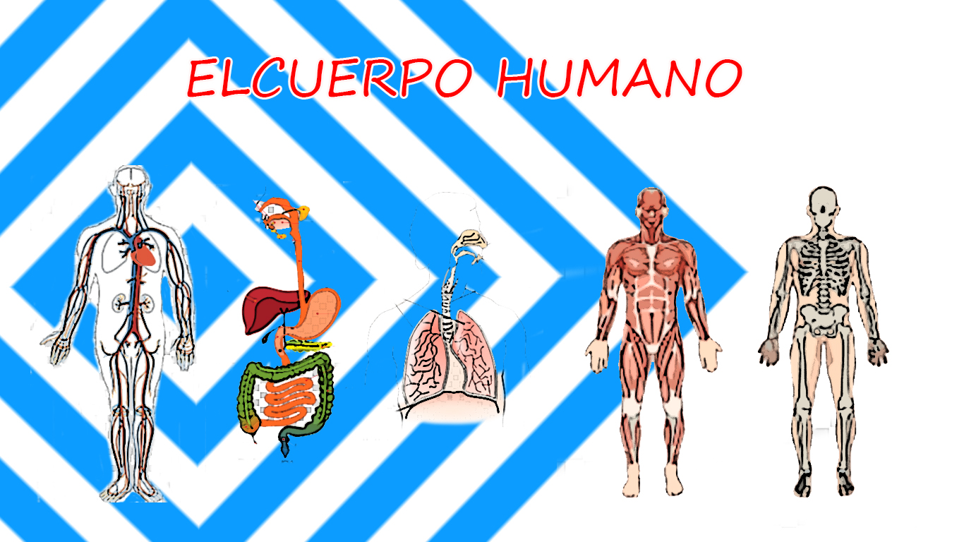 Imagen 4