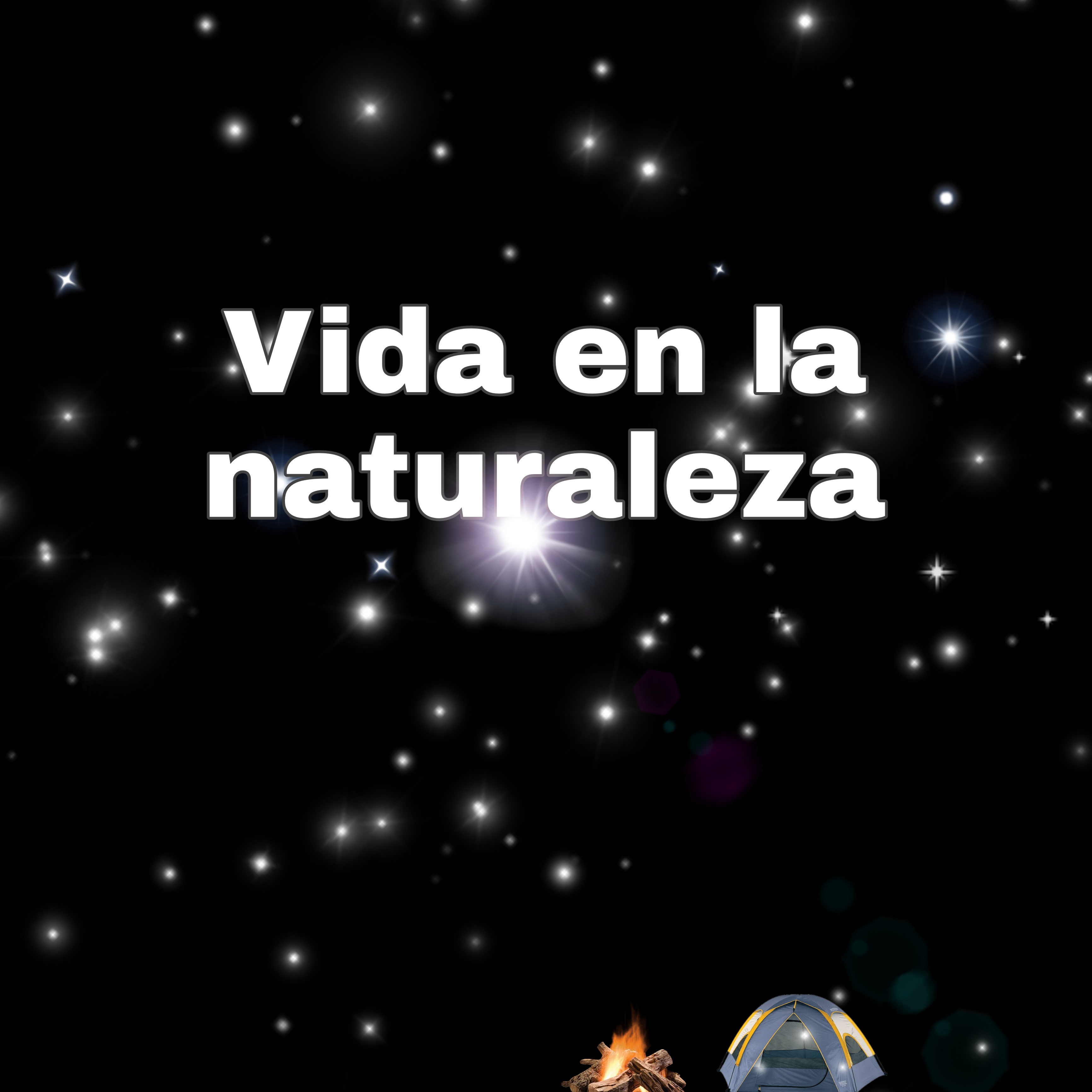 Imagen 8